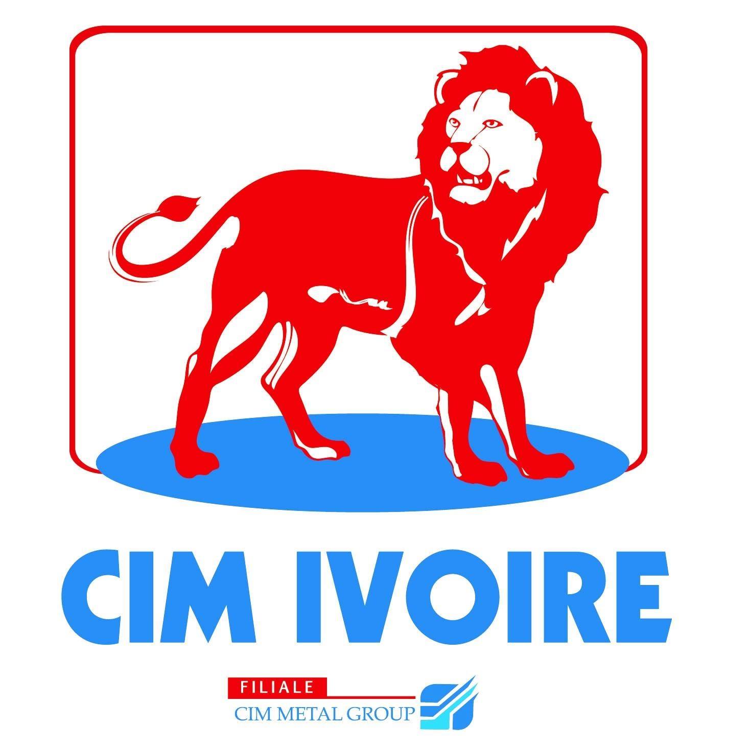 CIMENT LION
